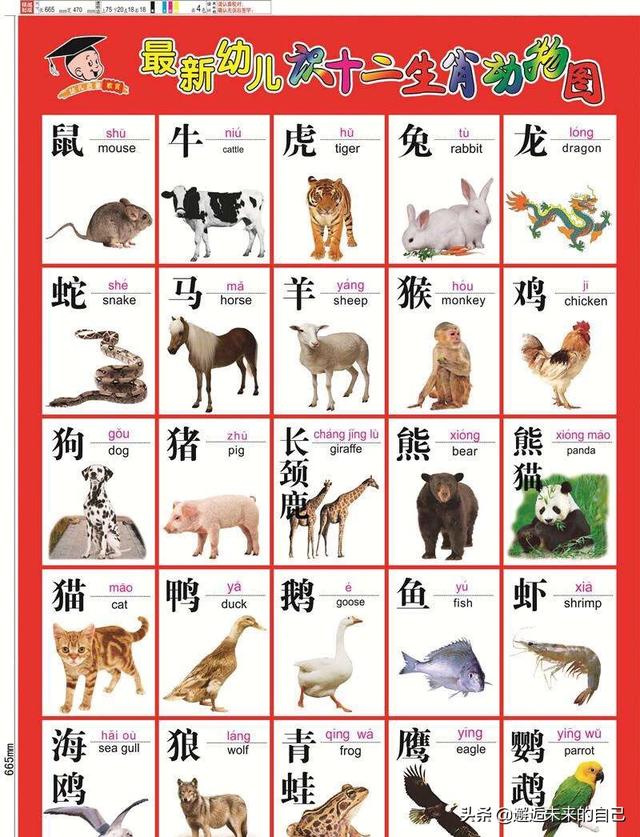 超级宝妈：《小泰迪双语启蒙系列》：从会认到会说，孩子只差这两本书