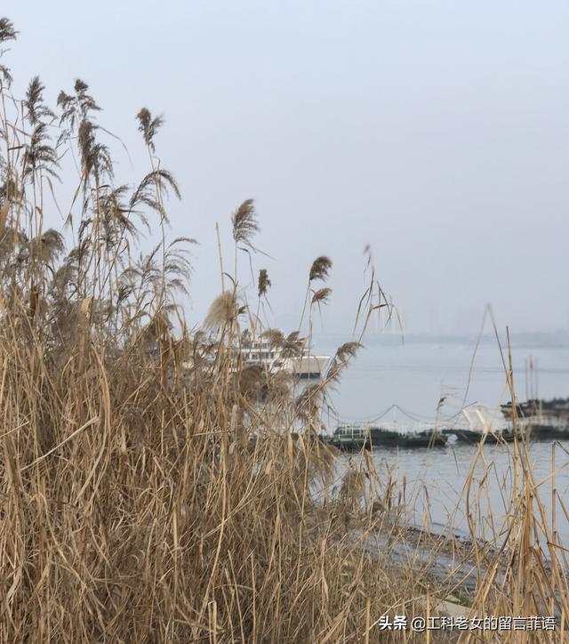 玩乐足迹▲枯水期的汉口江滩走上一小段