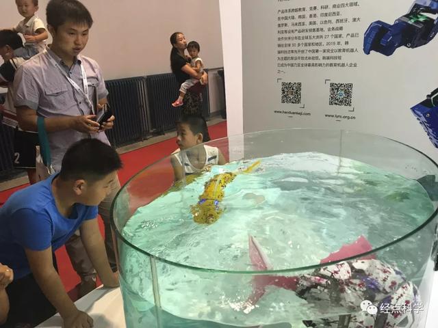 你的育儿经|孩子太黏人，父母怎么办？