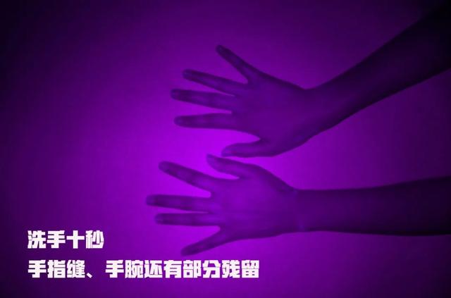 回顾 2020：疾病阴影下，有些变化依旧值得拥抱