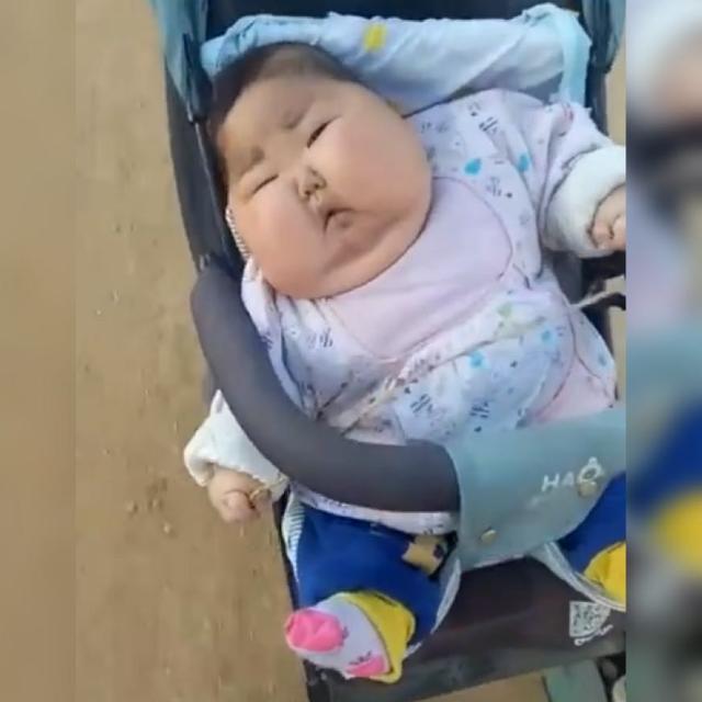 你的育儿经@推车里的“大胖小子”老人都喜欢？网友：已经超出我对可爱的认知