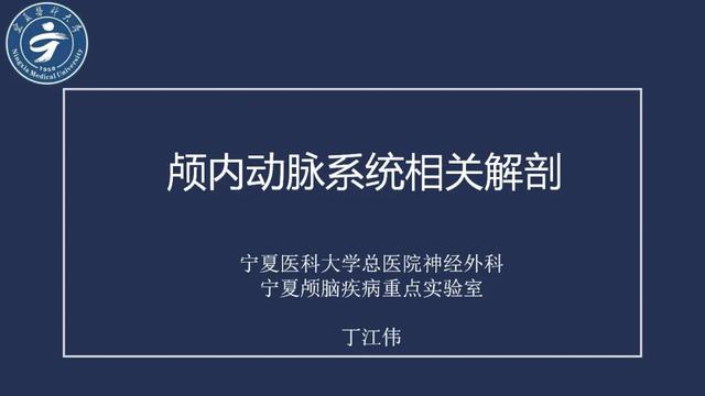 头颈动脉系统相关解剖