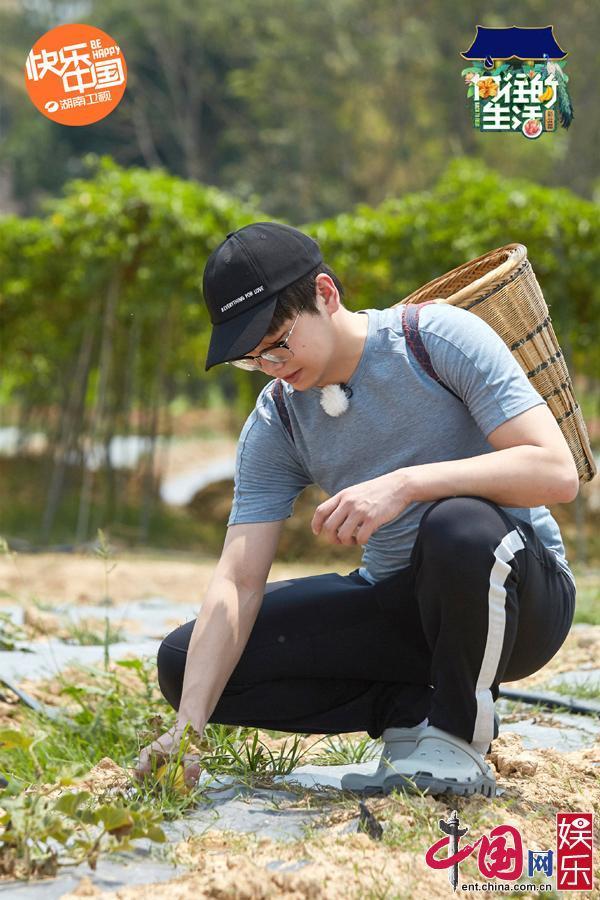 黄晓明《向往4》里＂认真减肥＂ 蘑菇屋中惊闻＂再来一块＂|中国网