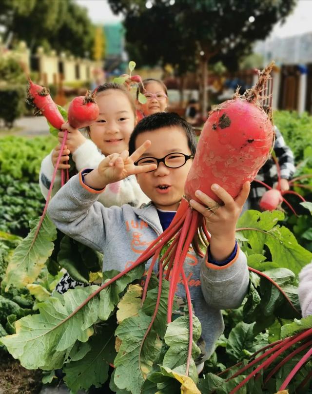 上海市|金山新增4所示范幼儿园，看看在你家附近吗？