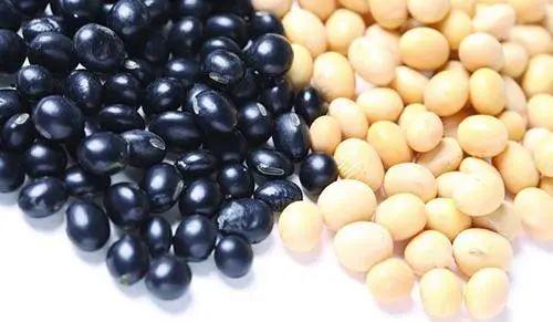 腊八粥|今天这碗腊八粥，你喝对了吗？