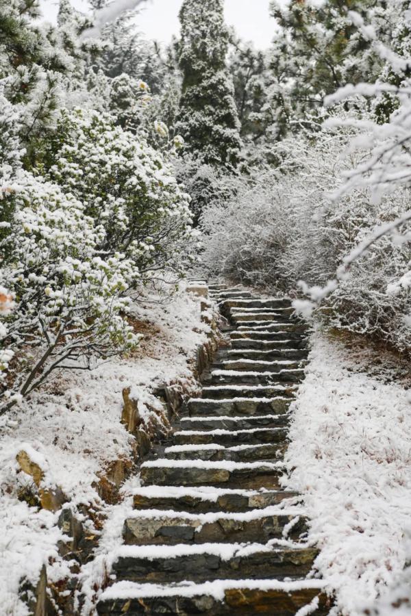 雪天开车不“打滑”烟台司机：冰雪路面行车技巧一定要知道