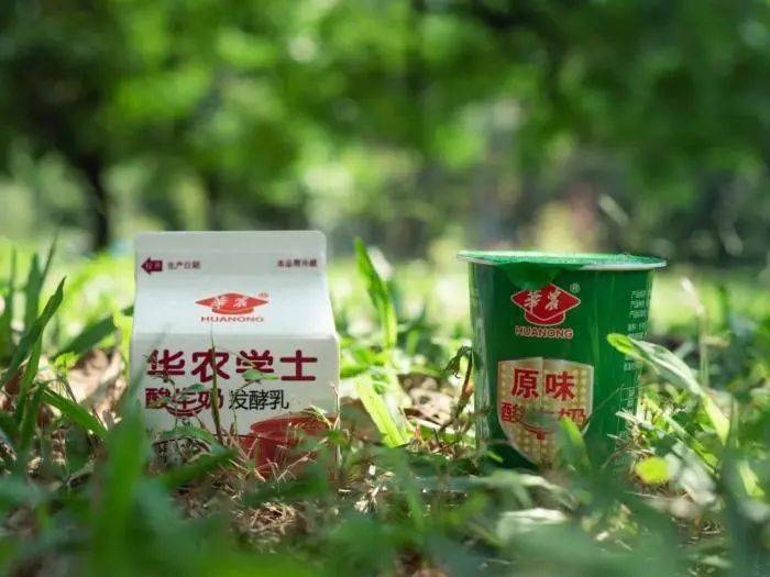 高校|这些美食，自带学霸光环！