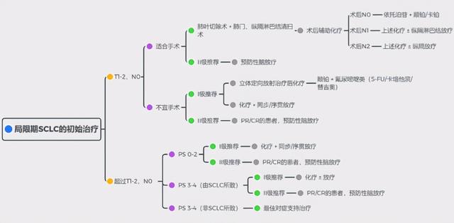 用5张图，带你了解2020年小细胞肺癌最新治疗方式