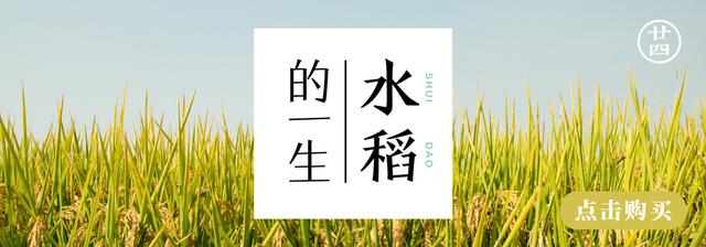 #超级宝妈#娃娃的洗衣液你真的选对了吗？成都市面15款儿童洗衣液测评来了