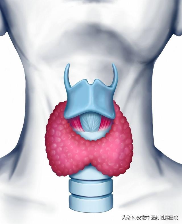 安徽中医药附院提醒：注意！体重持续往上涨也许是甲减惹的祸