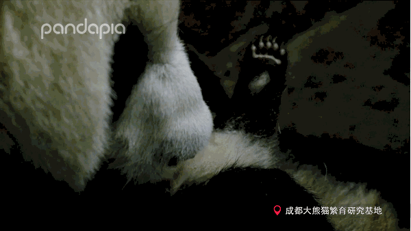 超级宝妈▲小朋友，你是否有很多问号？