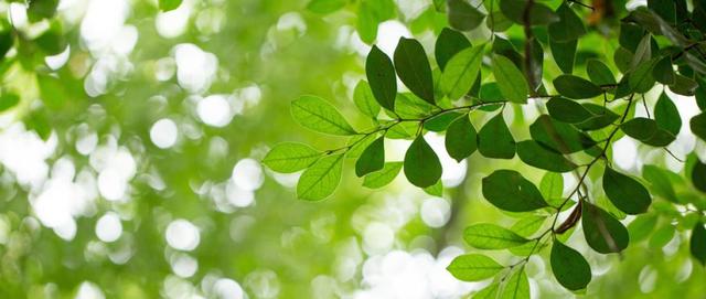 阴阳|“春捂秋冻”到底靠不靠谱？