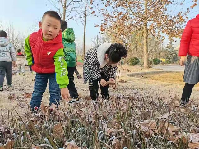 寻“霜”问由，以探为究 胶州市九龙中心幼儿园“自然课程探究”活动