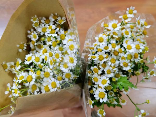 玫瑰|生鲜电商卖花到底靠谱吗？实测报告来了