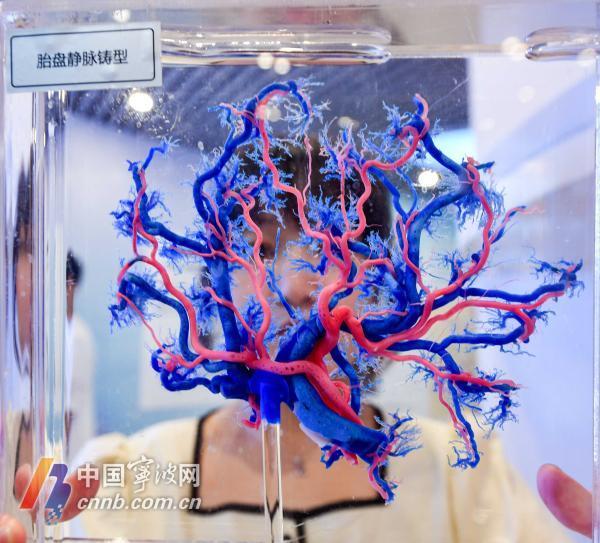 生命|宁波首个人体生命科学馆开馆