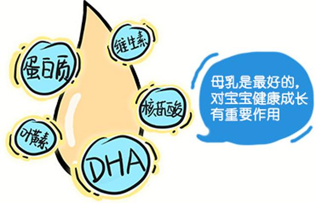 我爱我家|母乳是怎样形成的？真的是血变的吗？
