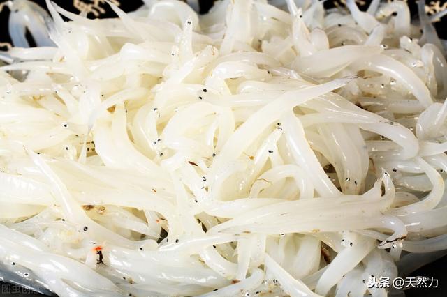 什么鱼刺少好吃，为什么鱼会那么多刺，什么鱼的刺少