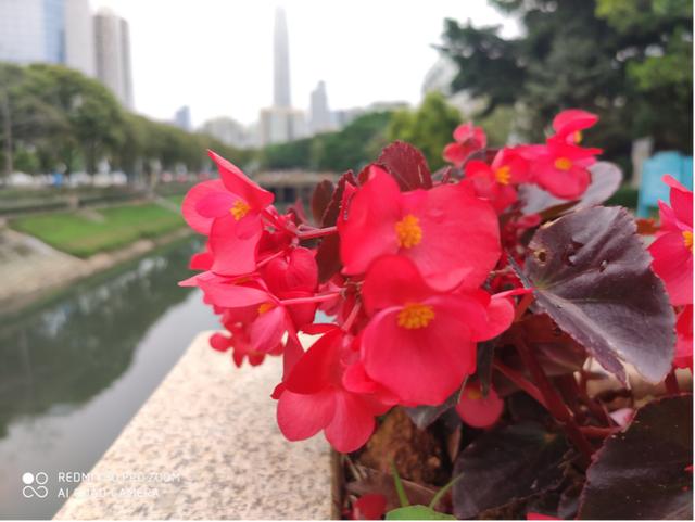 睿师兄：红米K30使用体验汇总：性能这么强，为啥不能大卖？