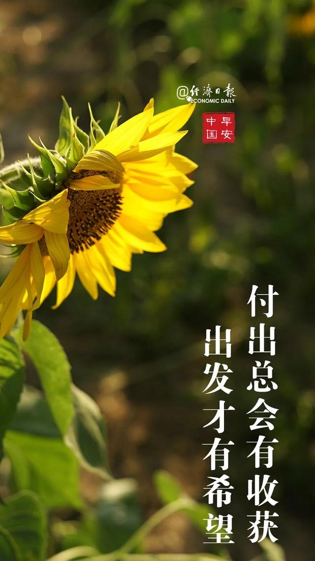 中国|中国电影市场2021年度总票房突破100亿元丨财经早餐