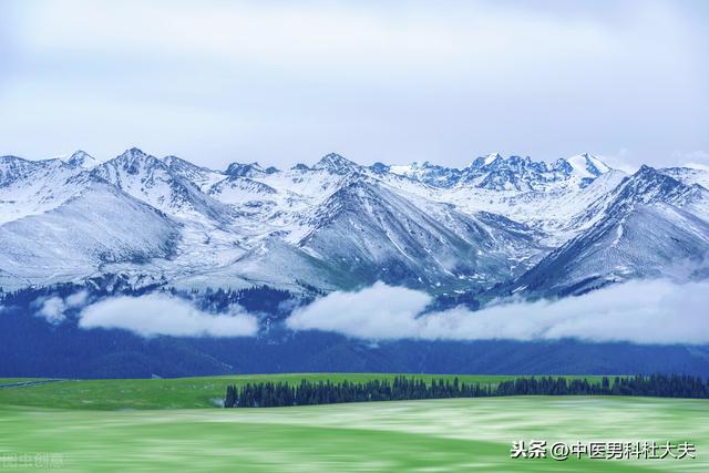 肾气不固，心肾不交，中医如何调理？