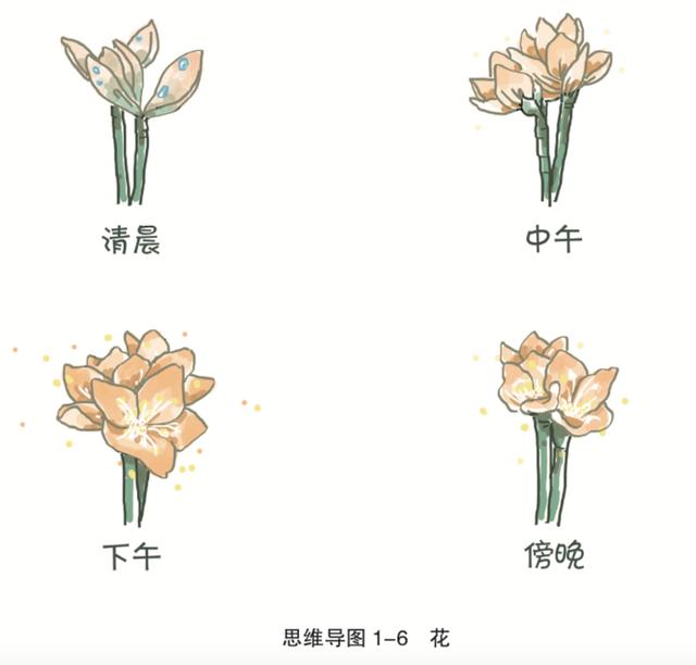 你的育儿经|孩子作文写不好，不是阅读量不够，而是你教的方法80%都是错的