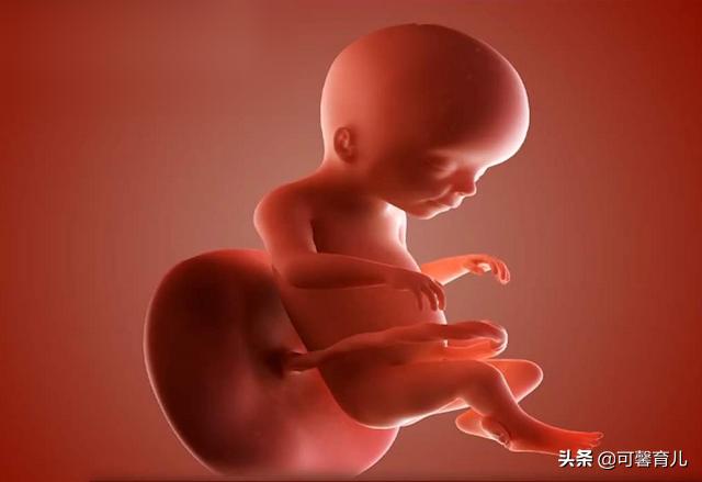 超级宝妈▲吃什么能决定胎儿性别，“酸儿辣女”是迷信？还是有科学依据？