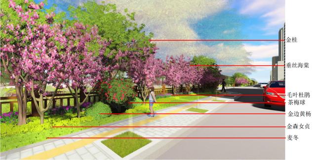 #万丈光芒#新增4条滨河步道、打造四季有景的滨水空间……松江这里的河道变化你期待吗？