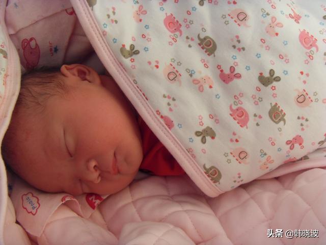 超级宝妈:生命的神奇伟大
