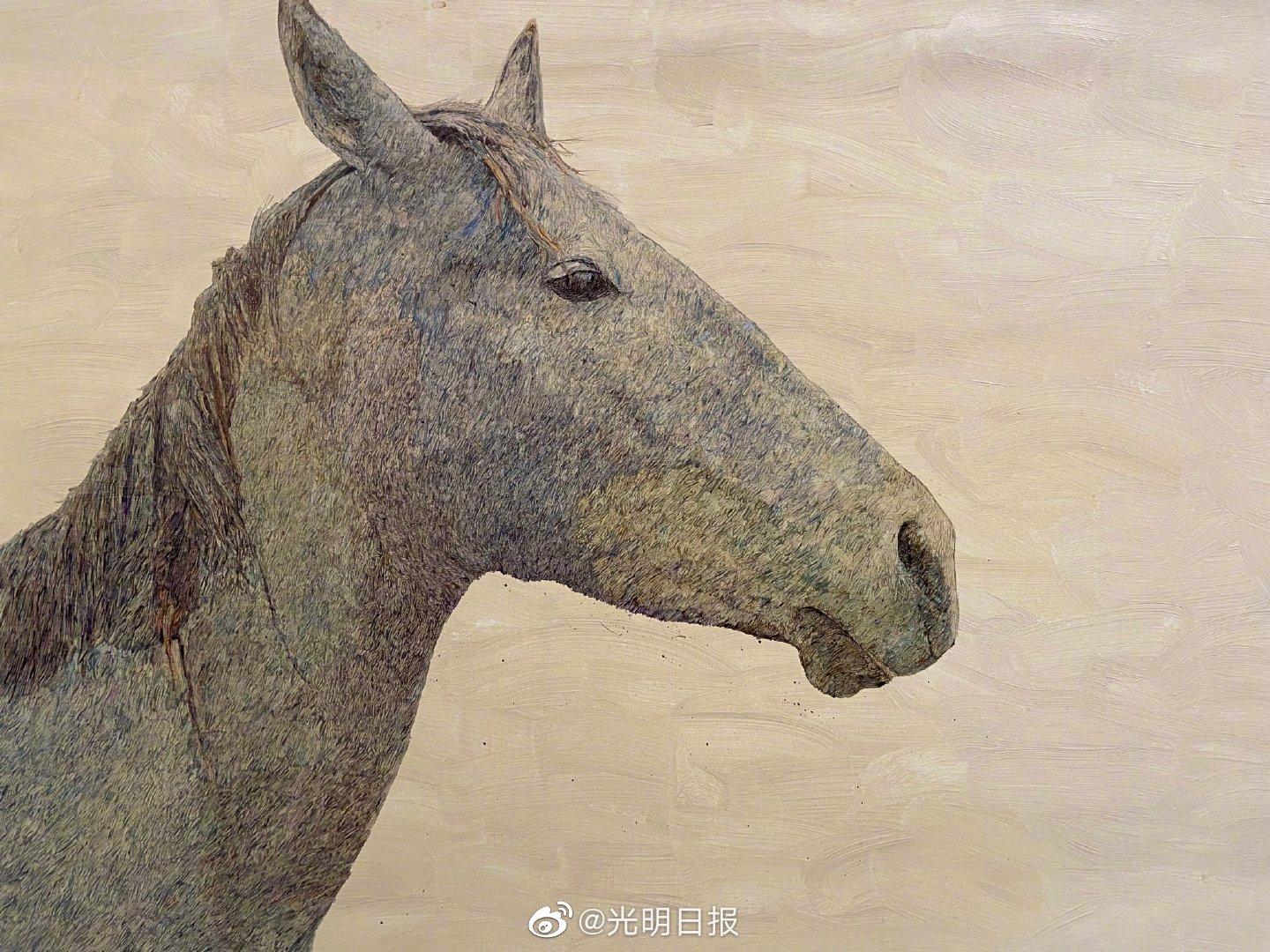 来欣赏谭尚勤油画展《羽毛的语言》