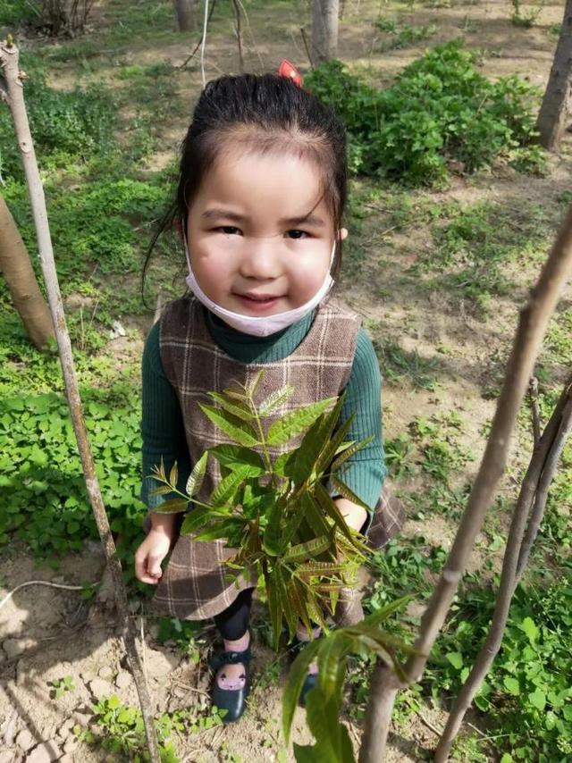 超级宝妈@亲手给父母泡茶、用五谷作画……“谷雨”节气将至，济南一幼儿园小萌娃学传统文化
