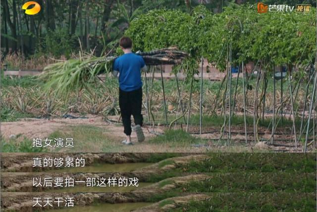 你以为任嘉伦是话痨?那只是掩盖尴尬的方式|影视交流地