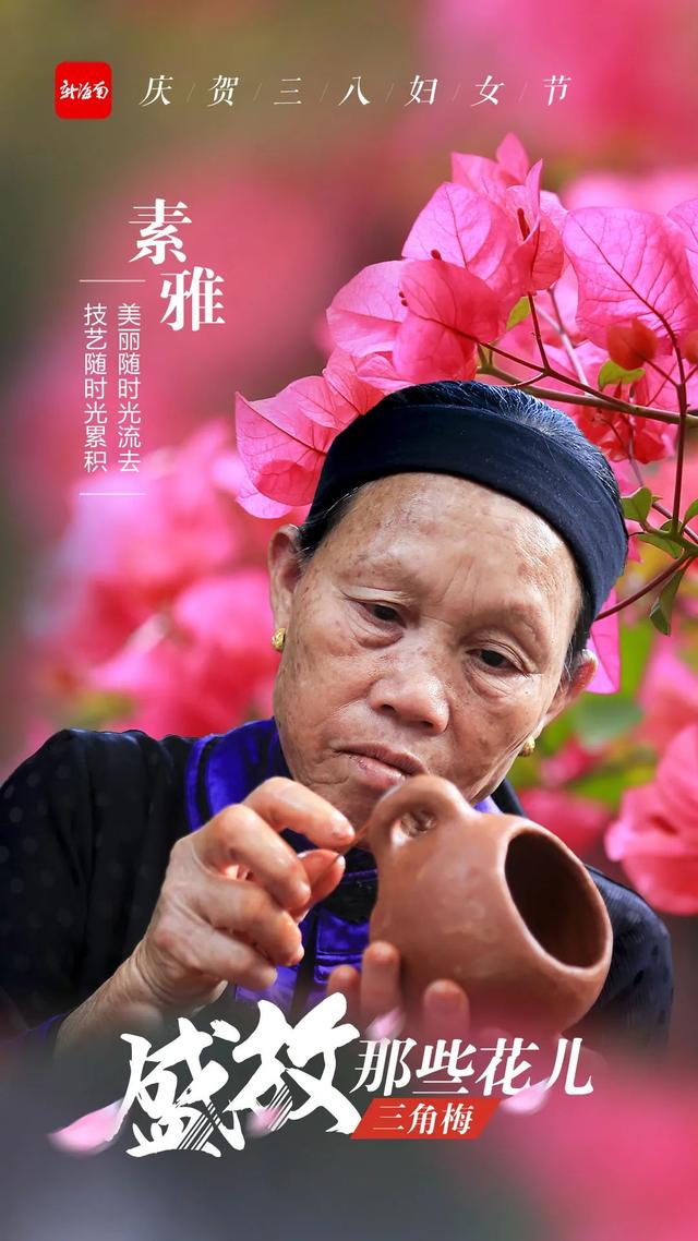 争先恐后|又美又飒！这些“海南花儿”正盛放