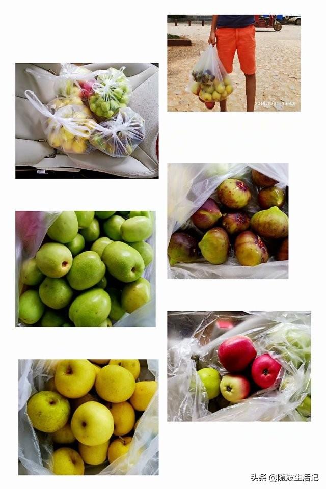 世界那么大@云南茶马古道上幸存的集市——沙溪古镇游记