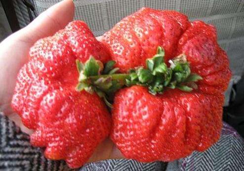 你的育儿经：儿童成为“白血病”高发群体，专家：3种水果，再穷也别给孩子买