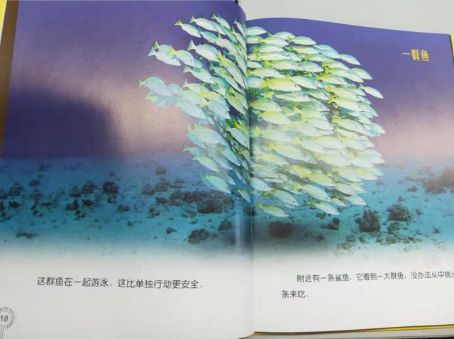 【超级宝妈】7岁男孩做“科学实验”走红,他妈妈的教育方式,堪称“教科书”