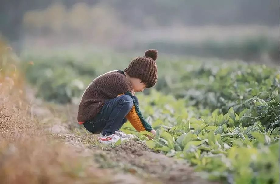 [暖先生格调]李玫瑾教授：1岁前请自己带孩子，6岁前要对孩子说不，12岁前重视心理抚养！