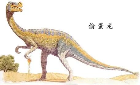 超级宝妈▲孩子上学第300天：爸妈集体变学霸，老人学会了看谱子！