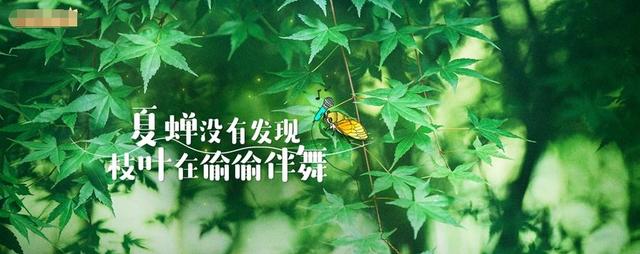 《奇妙小森林》定档530 回归自然开启森林新玩法|环球网