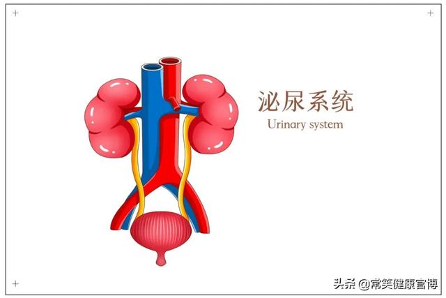 尿路上皮癌：精准治疗的时代来临