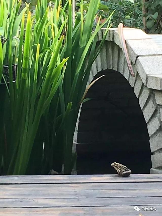 圆一个心中的花园梦……