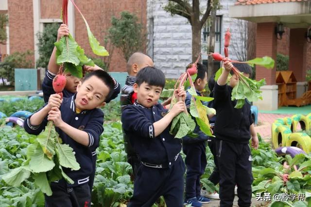 欢乐一家亲|种植园、养殖园、游乐园……贵阳这个幼儿园要不要太齐全