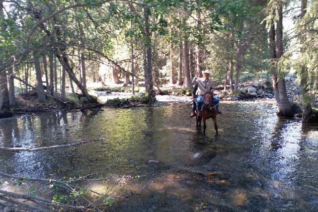 玩乐足迹@喀纳斯你真的去过么?确定不是路过!