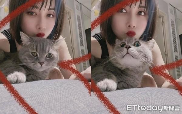 花4万造绝美猫墙！　主子不赏脸「只窝沙发下」奴才心碎