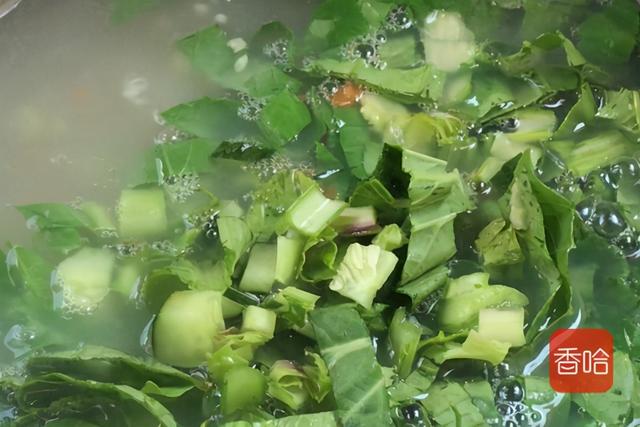 大雪后该吃它了！鲜嫩入味比肉香，身体倍儿棒天冷也不怕