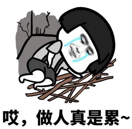 寻梦青年|取消三胎以上罚款？在厦门，你愿意生三个吗？网友的回答很真实