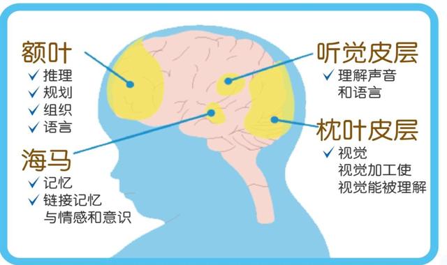 孩子总是拿哭吓唬人？0-6岁教养是关键！5步塑造孩子高情商