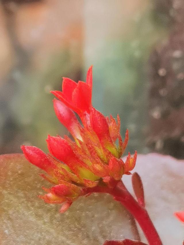 [你的育儿经]我说，时间都去哪儿了
