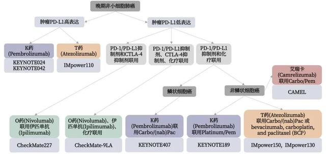 肺癌如何选择PD-1/PD-L1药物？这里有一份最新指南