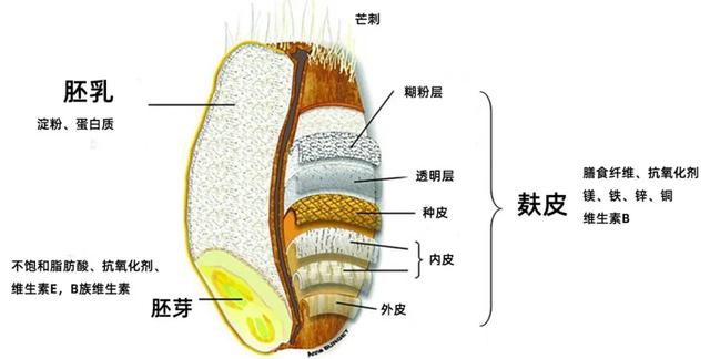 吃错燕麦，血糖和雄激素不仅不降反而会直线上升