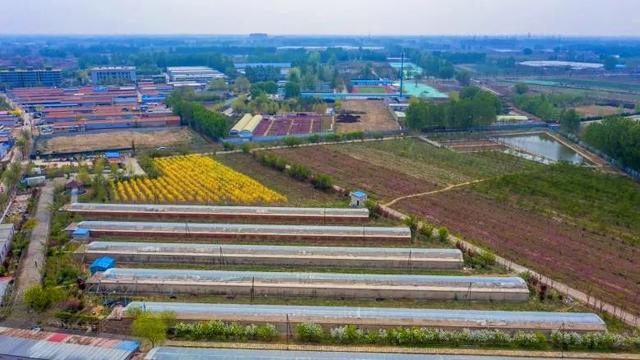 「旅行柚子君」云游通州 | 过把陶渊明的瘾!快节奏中的慢时光,城市里的世外桃源